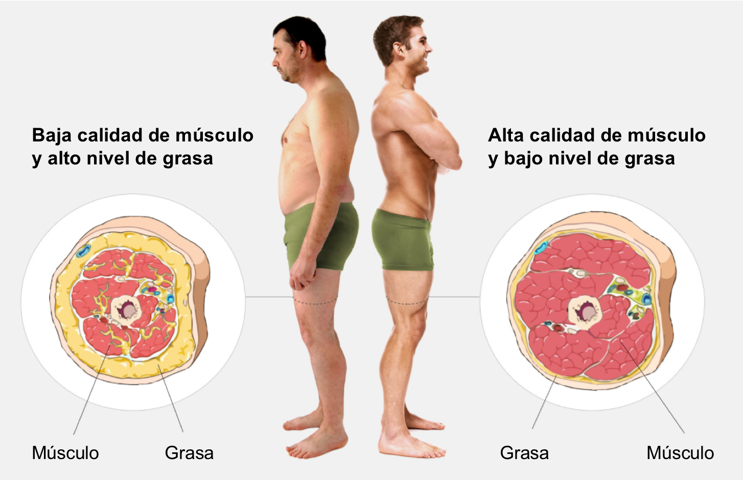 ¿Por qué es importante medir la grasa corporal? - Fit 4 Life