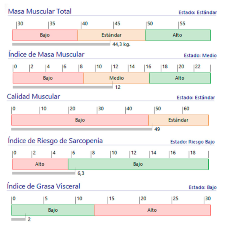 Musculatura, riesgo de sarcopenia y grasa visceral