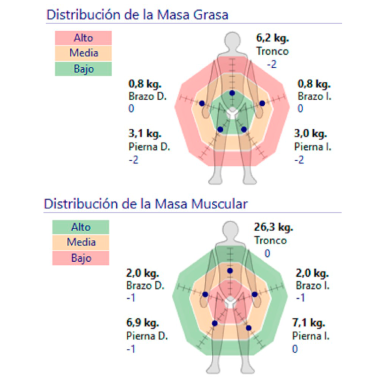 Distribución de masa muscular y grasa
